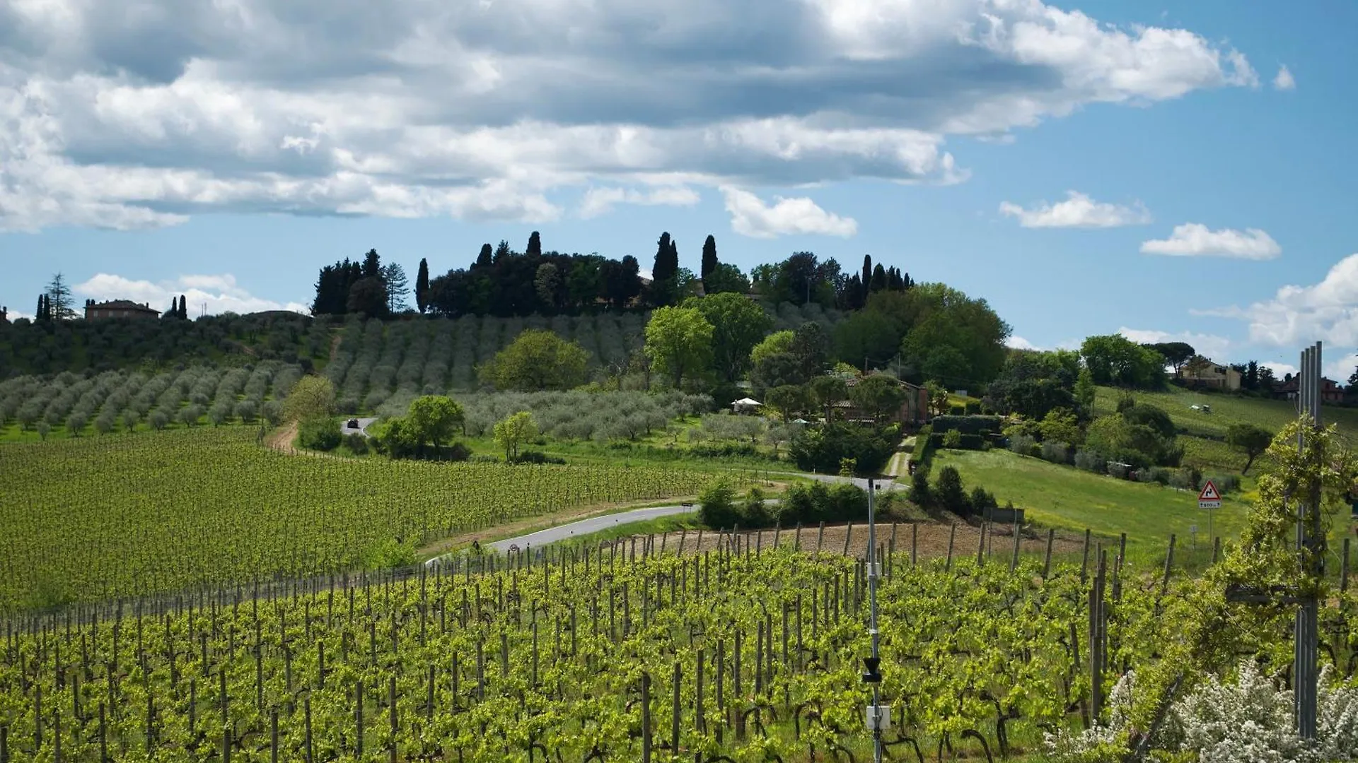 Villa Il Castagno Wine & Resort Siena