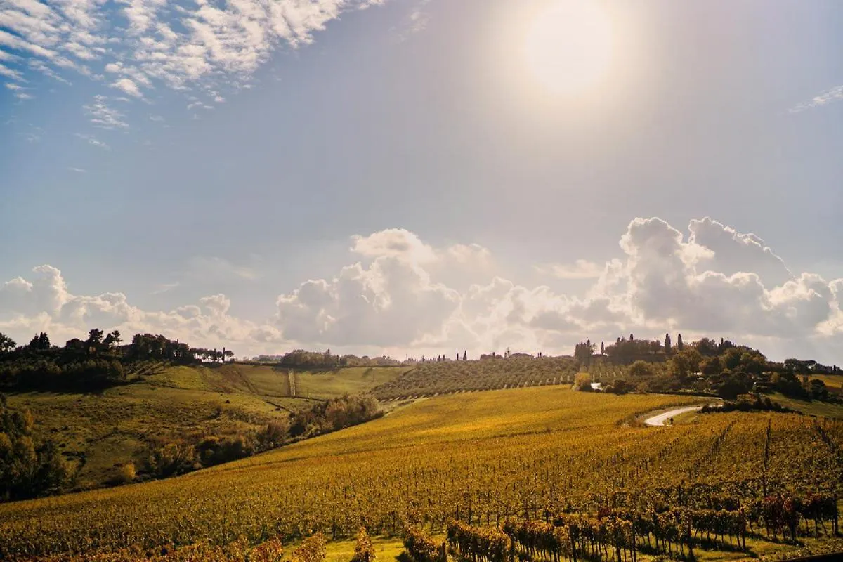 Villa Il Castagno Wine & Resort Siena Farm stay